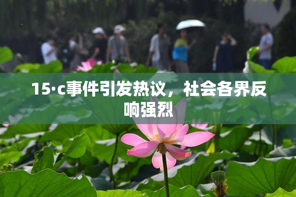 15·c事件引发热议，社会各界反响强烈