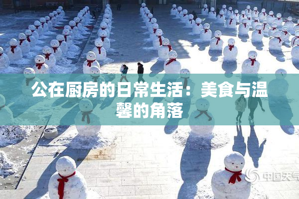 公在厨房的日常生活：美食与温馨的角落
