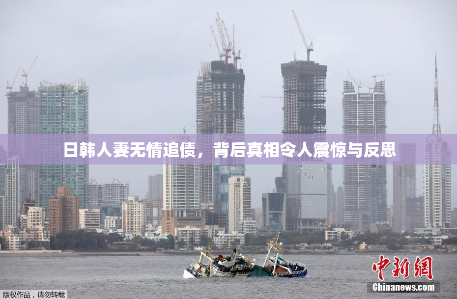 日韩人妻无情追债，背后真相令人震惊与反思