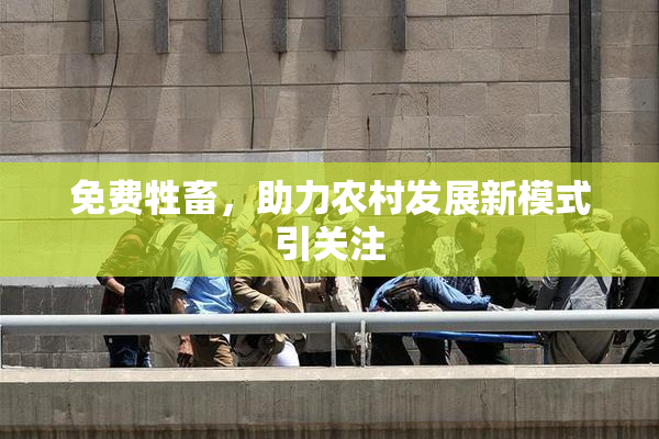 免费牲畜，助力农村发展新模式引关注