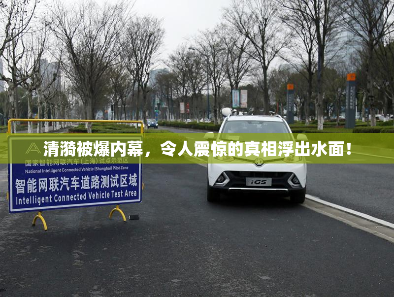 清漪被爆内幕，令人震惊的真相浮出水面！