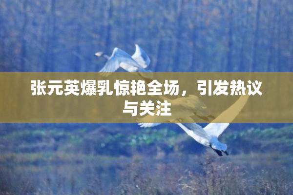 张元英爆乳惊艳全场，引发热议与关注