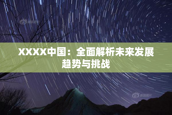 XXXX中国：全面解析未来发展趋势与挑战