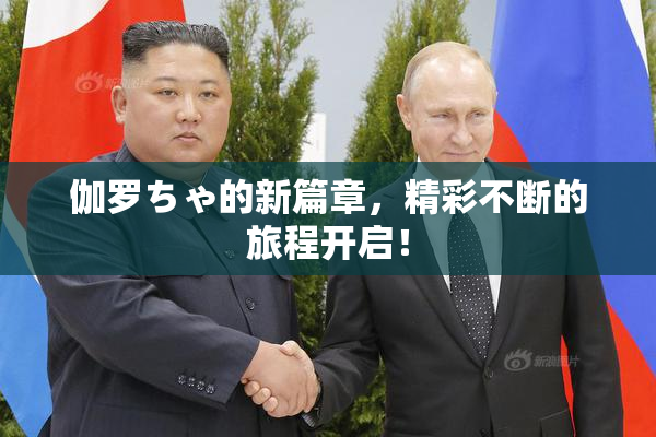 伽罗ちゃ的新篇章，精彩不断的旅程开启！
