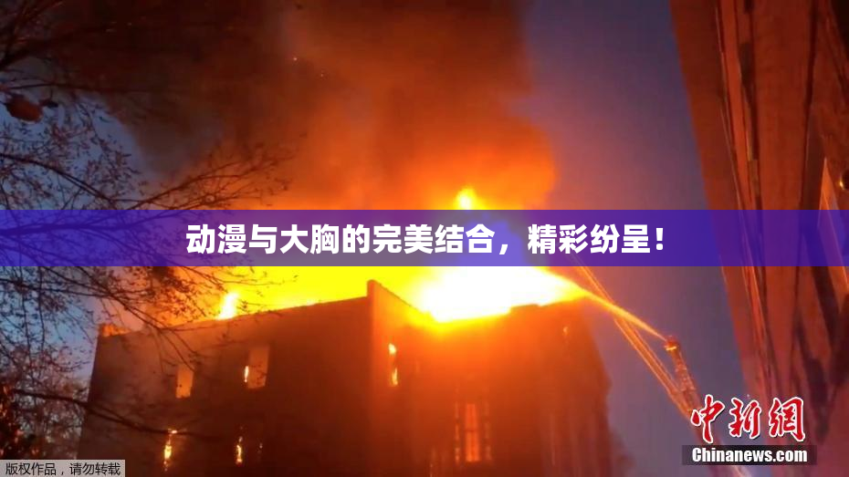 动漫与大胸的完美结合，精彩纷呈！