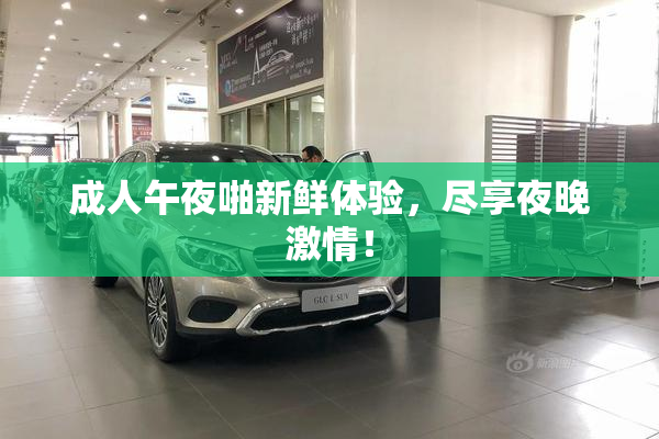 成人午夜啪新鲜体验，尽享夜晚激情！