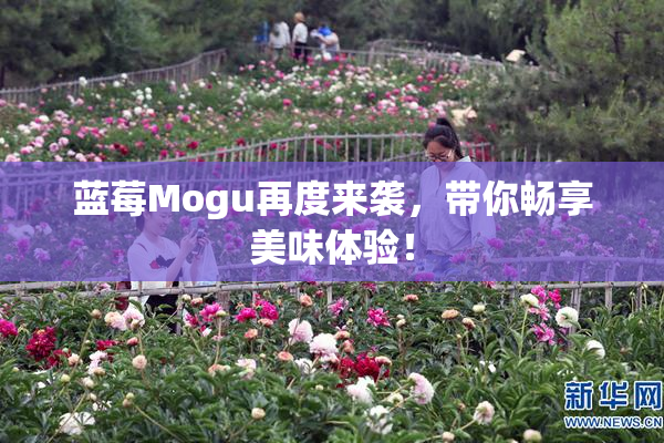 蓝莓Mogu再度来袭，带你畅享美味体验！
