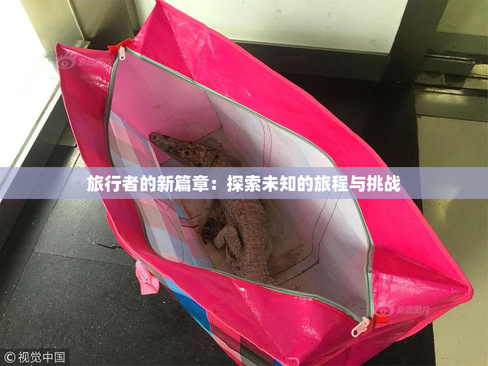 旅行者的新篇章：探索未知的旅程与挑战