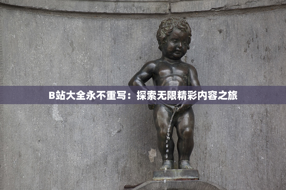 B站大全永不重写：探索无限精彩内容之旅