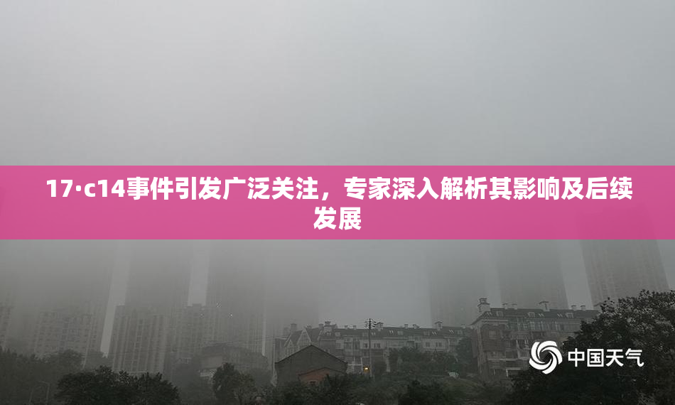 17·c14事件引发广泛关注，专家深入解析其影响及后续发展