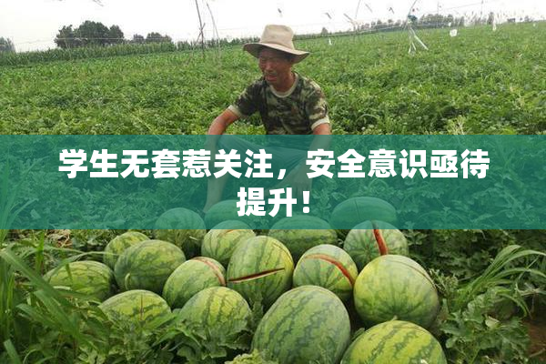 学生无套惹关注，安全意识亟待提升！