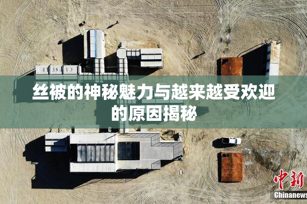 丝被的神秘魅力与越来越受欢迎的原因揭秘
