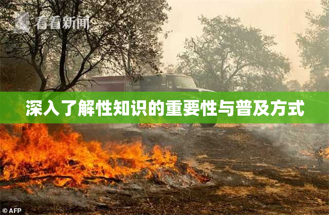 深入了解性知识的重要性与普及方式