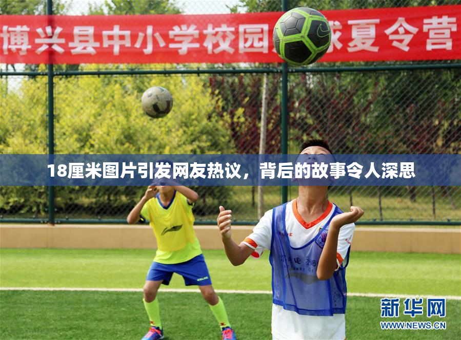 18厘米图片引发网友热议，背后的故事令人深思