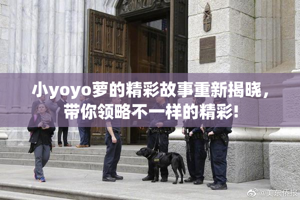 小yoyo萝的精彩故事重新揭晓，带你领略不一样的精彩!