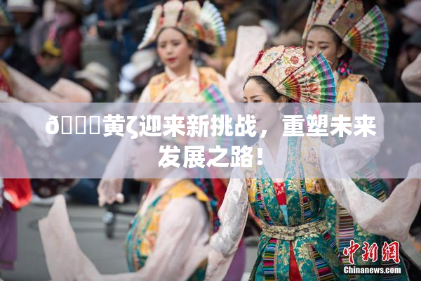 🔞黄ζ迎来新挑战，重塑未来发展之路！