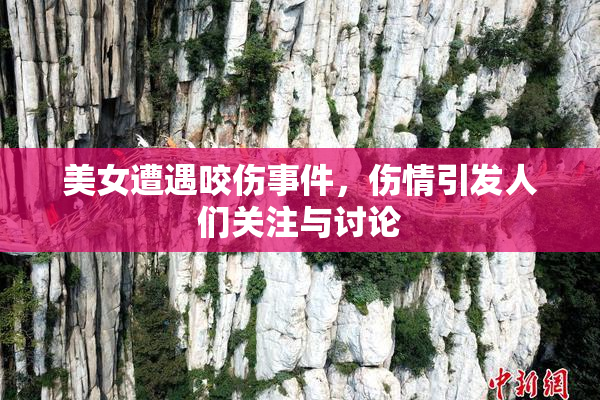 美女遭遇咬伤事件，伤情引发人们关注与讨论