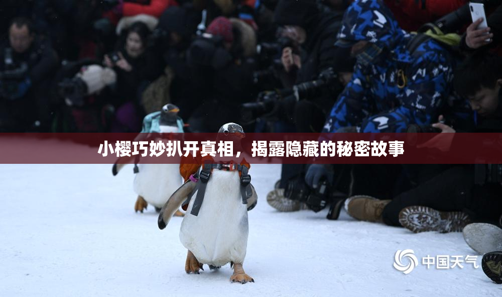 小樱巧妙扒开真相，揭露隐藏的秘密故事