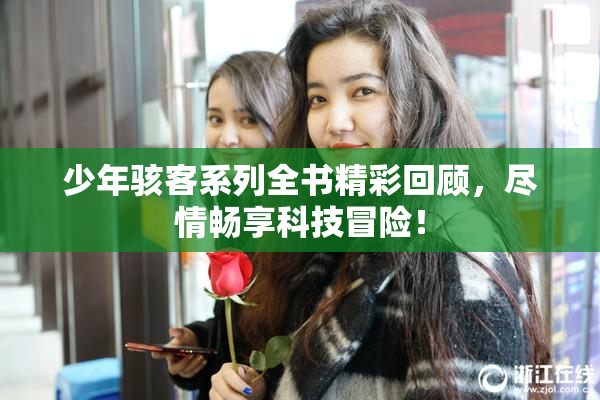 少年骇客系列全书精彩回顾，尽情畅享科技冒险！