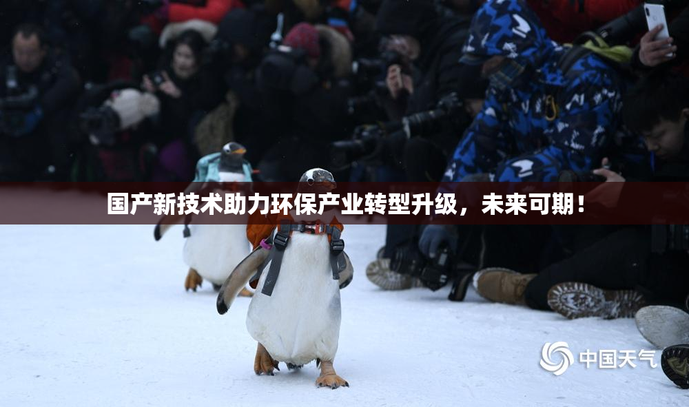 国产新技术助力环保产业转型升级，未来可期！