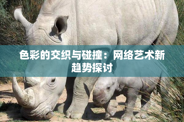 色彩的交织与碰撞：网络艺术新趋势探讨