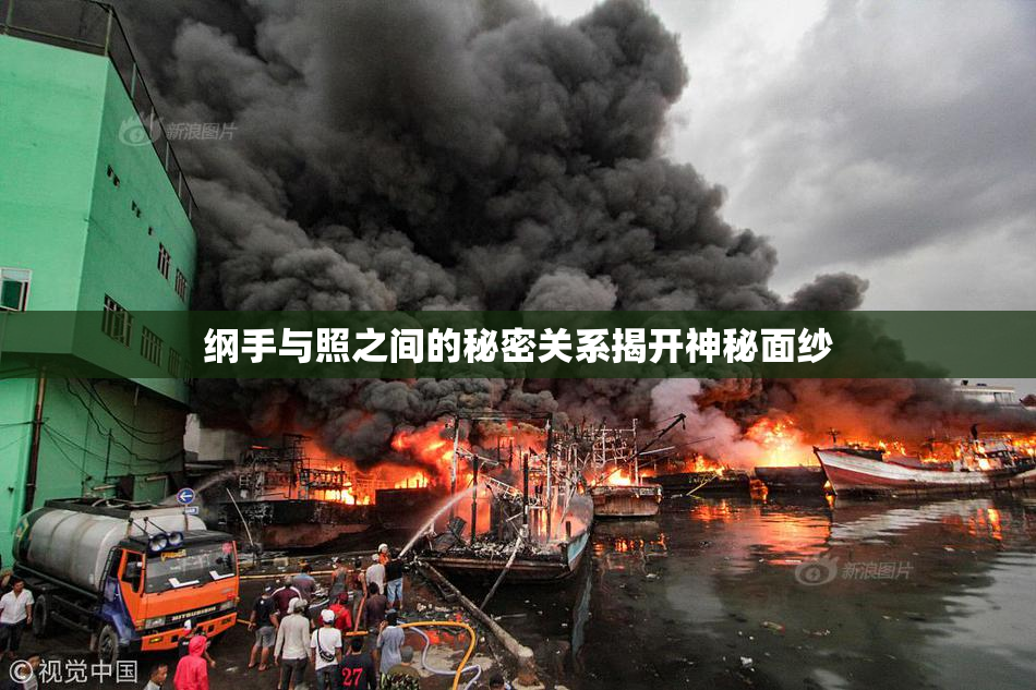 纲手与照之间的秘密关系揭开神秘面纱