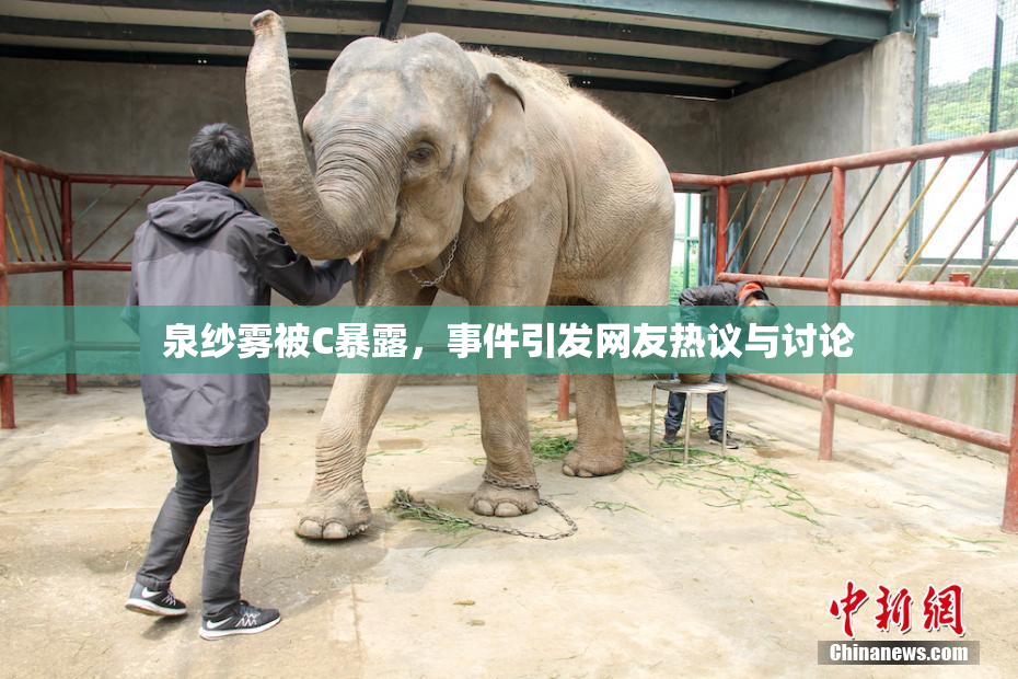 泉纱雾被C暴露，事件引发网友热议与讨论