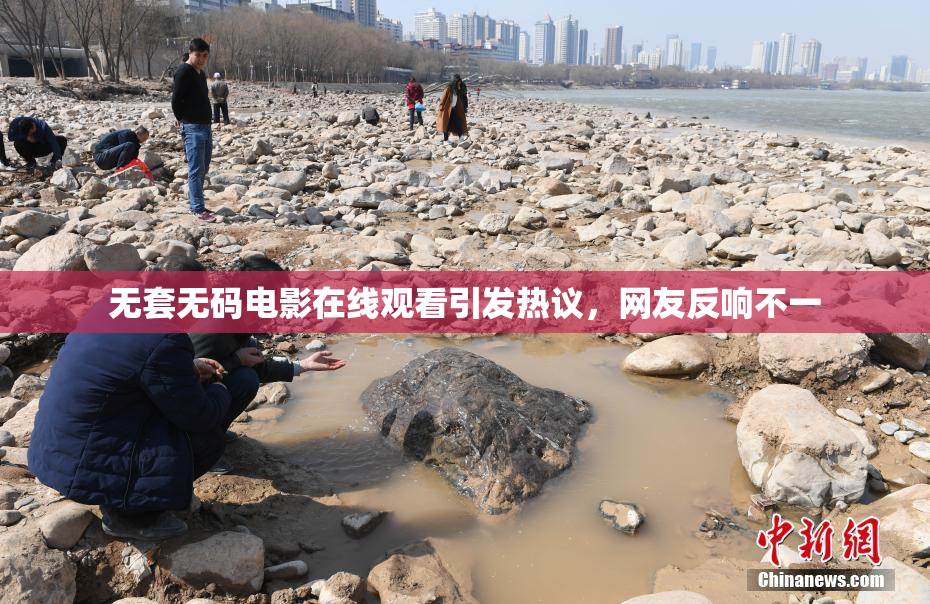 无套无码电影在线观看引发热议，网友反响不一