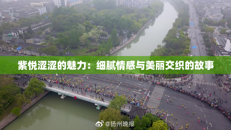 紫悦涩涩的魅力：细腻情感与美丽交织的故事