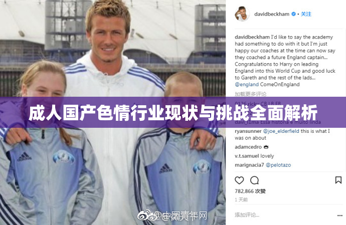 成人国产色情行业现状与挑战全面解析