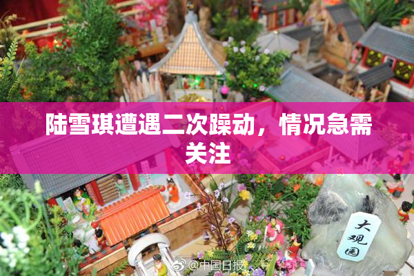 陆雪琪遭遇二次躁动，情况急需关注