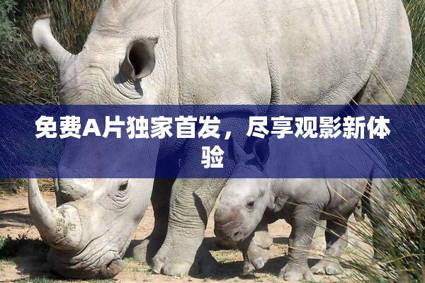 免费A片独家首发，尽享观影新体验