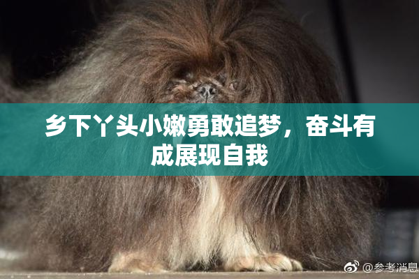 乡下丫头小嫩勇敢追梦，奋斗有成展现自我