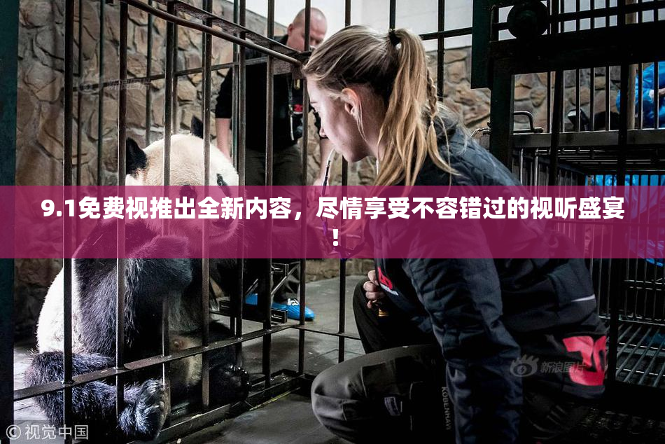9.1免费视推出全新内容，尽情享受不容错过的视听盛宴！