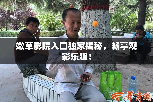 嫩草影院入口独家揭秘，畅享观影乐趣！