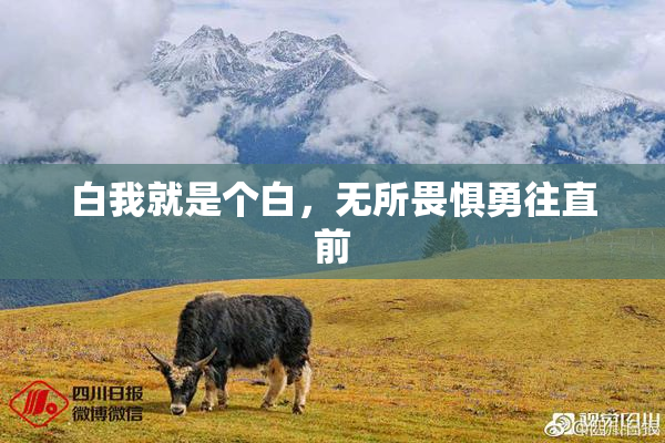 白我就是个白，无所畏惧勇往直前