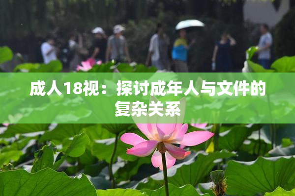 成人18视：探讨成年人与文件的复杂关系