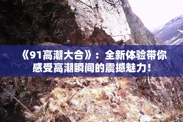 《91高潮大合》：全新体验带你感受高潮瞬间的震撼魅力！