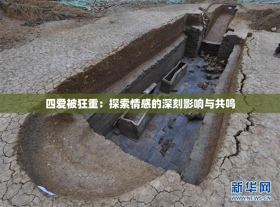四爱被狂重：探索情感的深刻影响与共鸣