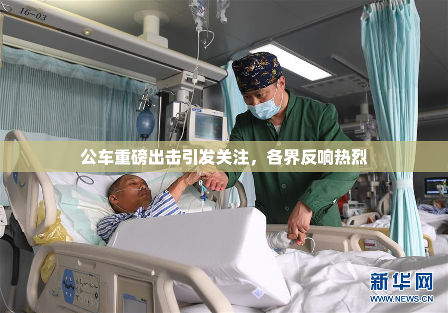 公车重磅出击引发关注，各界反响热烈