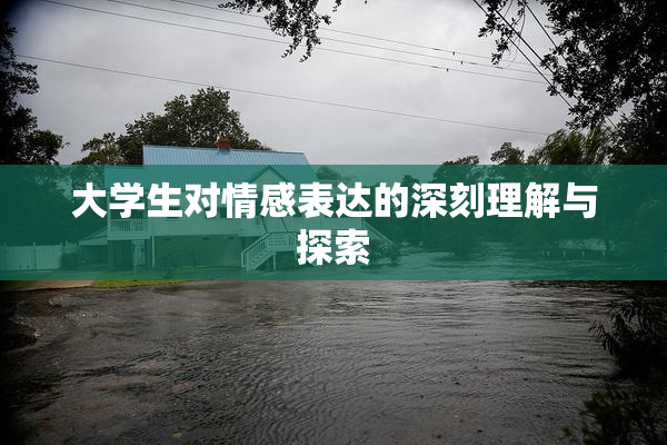 大学生对情感表达的深刻理解与探索