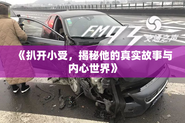 《扒开小受，揭秘他的真实故事与内心世界》