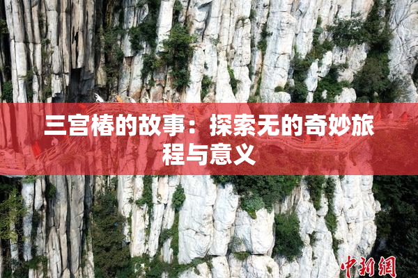 三宫椿的故事：探索无的奇妙旅程与意义