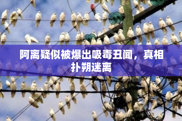 阿离疑似被爆出吸毒丑闻，真相扑朔迷离