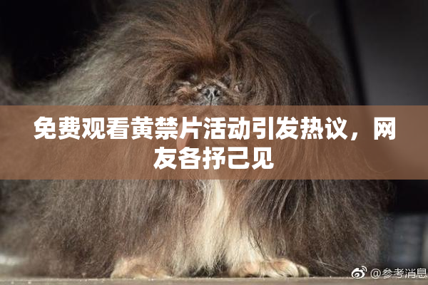 免费观看黄禁片活动引发热议，网友各抒己见