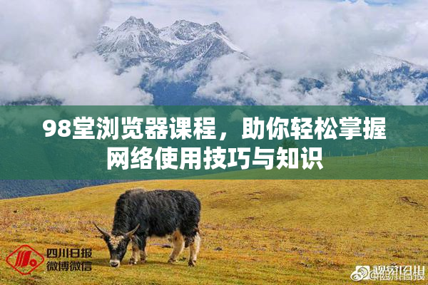 98堂浏览器课程，助你轻松掌握网络使用技巧与知识