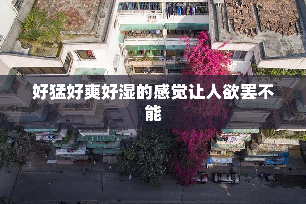 好猛好爽好湿的感觉让人欲罢不能