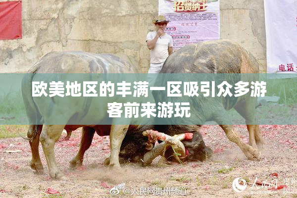 欧美地区的丰满一区吸引众多游客前来游玩