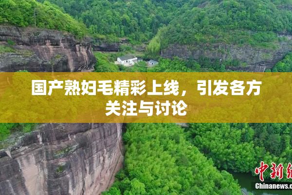 国产熟妇毛精彩上线，引发各方关注与讨论