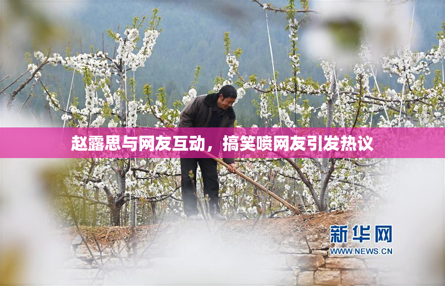 赵露思与网友互动，搞笑喷网友引发热议